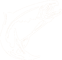 Salmon Icon
